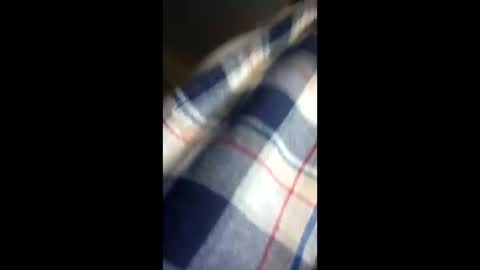 Snapshot of chi579822 chatting on 14, 3, 2026 chi579822 online show from 14, 3, 2026