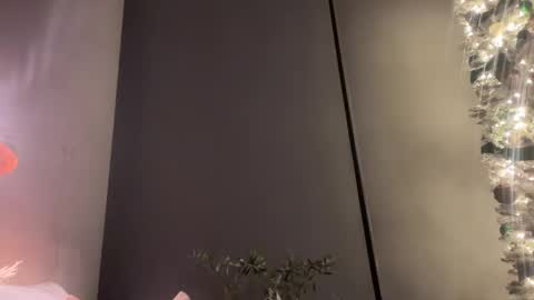 Snapshot of chiguy841 chatting on 16, 12, 2024 ChiGuy841 online show from 16, 12, 2024