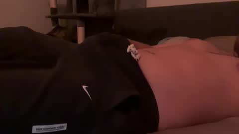 ChillGuyAVGsize online show from 26, 3, 2026