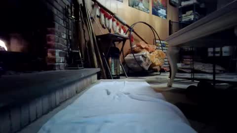 Snapshot of chippy70 chatting on 18, 1, 2026 chippy70 online show from 18, 1, 2026