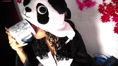 chleo_rosse online show from 17, 4, 2026