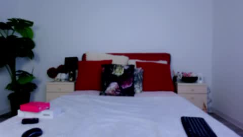 Snapshot of chloecheryy chatting on 3, 4, 2026 Chloe online show from 3, 4, 2026