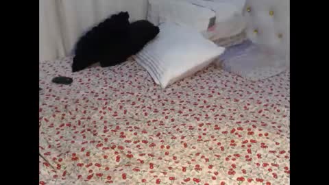 Snapshot of chocolate_diva chatting on 9, 2, 2026 Montana online show from 9, 2, 2026
