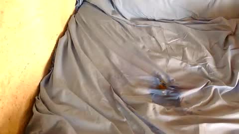 davenz online show from 28, 2, 2025