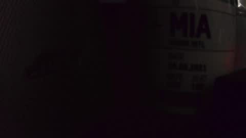 chrisatmiami448 online show from 14, 10, 2025