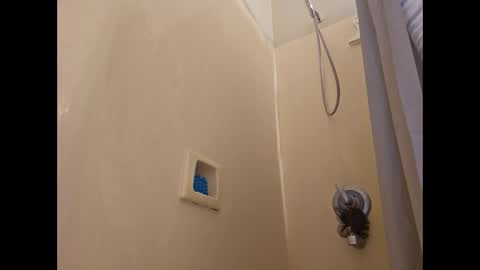 Snapshot of chrispycum chatting on 29, 12, 2024 Chris online show from 29, 12, 2024