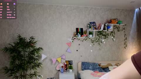 Ann online show from 21, 3, 2026