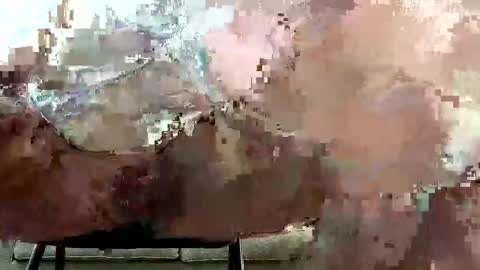 christopher232323 online show from 11, 12, 2024