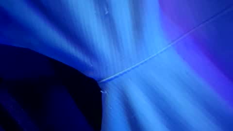 chronicvibez online show from 1, 3, 2026