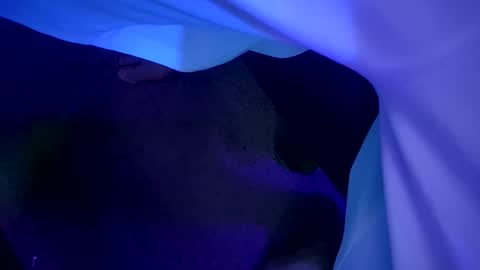 chronicvibez online show from 19, 3, 2026