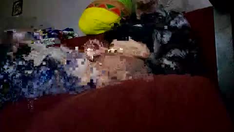 chronix14 online show from 28, 12, 2024