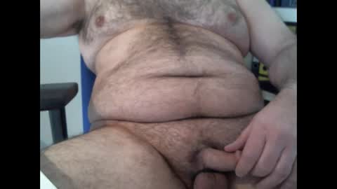 Chubby Bear BY online show from 24, 3, 2026