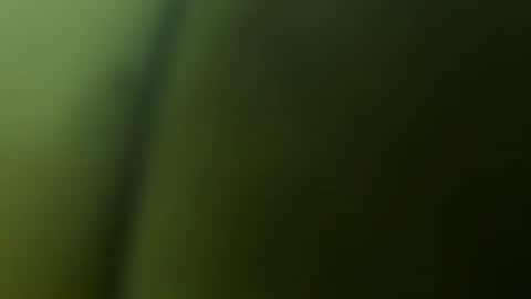 Snapshot of chuckyschick69 chatting on 3, 12, 2025 chuckyschick69 online show from 3, 12, 2025