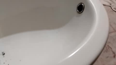 ciccilli online show from 26, 10, 2025