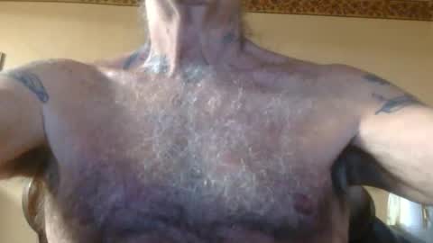 Pizza online show from 21, 5, 2026