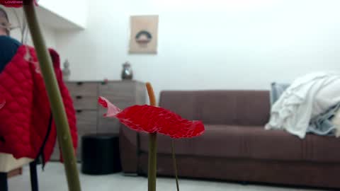 Snapshot of classy_medeeea chatting on 22, 12, 2024 Deea xxx online show from 22, 12, 2024