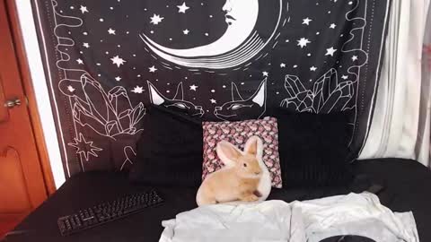 Cloe  online show from 22, 1, 2025