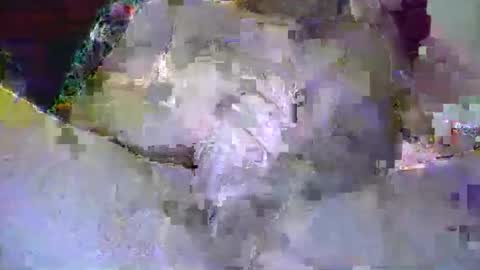 cmkiley50 online show from 7, 5, 2026