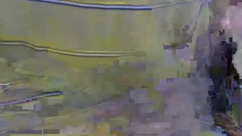 cockreadynow4u online show from 22, 10, 2025