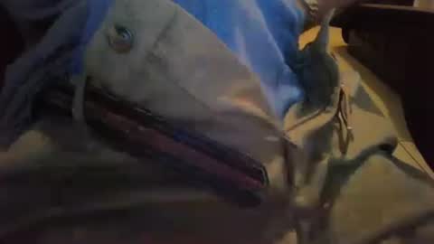 Snapshot of cocksmana chatting on 19, 1, 2026 cocksmana online show from 19, 1, 2026