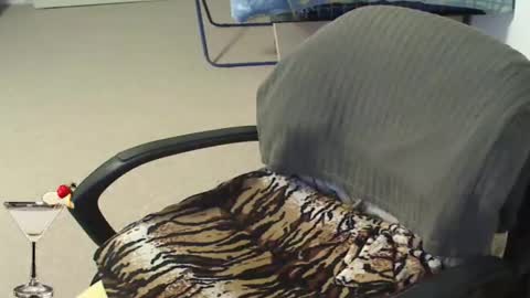 Snapshot of cocktail_911 chatting on 3, 3, 2026 Cocktail911 online show from 3, 3, 2026