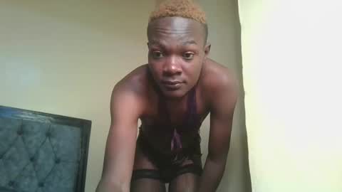 Cocoa online show from 22, 1, 2025