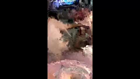 Snapshot of codyadams21 chatting on 6, 12, 2024 codyadams21 online show from 6, 12, 2024