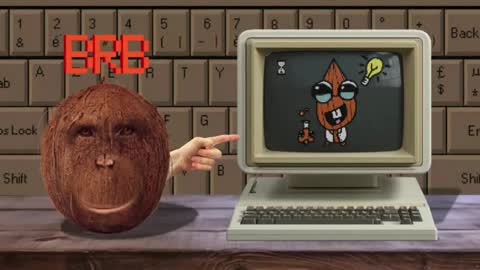 Cokia online show from 7, 5, 2026
