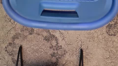 Jhoan online show from 23, 2, 2026