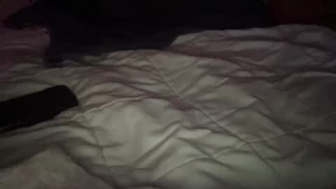 Snapshot of concretecarpenter chatting on 9, 11, 2025 concretecarpenter online show from 9, 11, 2025