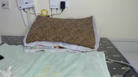 cooldivaa online show from 9, 9, 2025