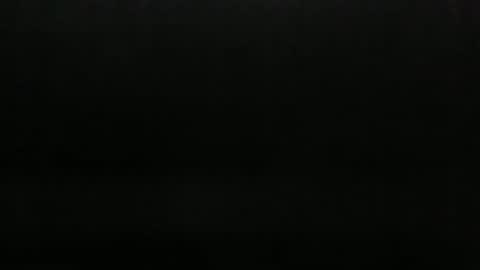 copart84 online show from 4, 11, 2025