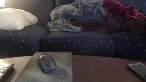 copper_crotch online show from 24, 3, 2026