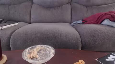 copper_crotch online show from 2, 5, 2026