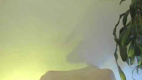 Coral princex online show from 20, 2, 2026