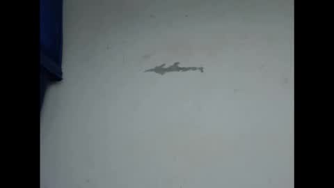 Snapshot of cornxcunt chatting on 11, 2, 2026 cornxcunt online show from 11, 2, 2026