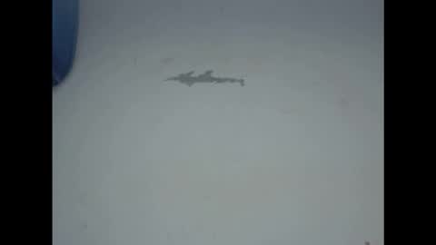 Snapshot of cornxcunt chatting on 17, 2, 2026 cornxcunt online show from 17, 2, 2026