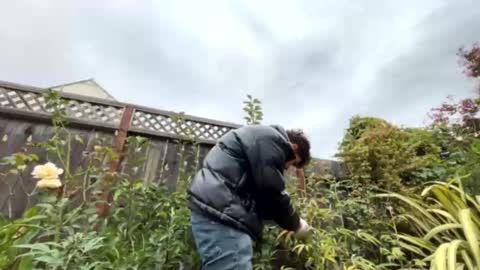 Snapshot of coronelking chatting on 28, 9, 2025 coronelking online show from 28, 9, 2025