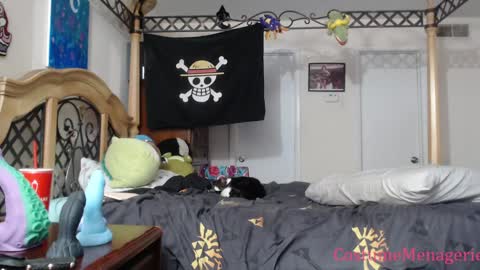 Snapshot of costumemenagerie chatting on 17, 1, 2025 Amethyst Cox online show from 17, 1, 2025