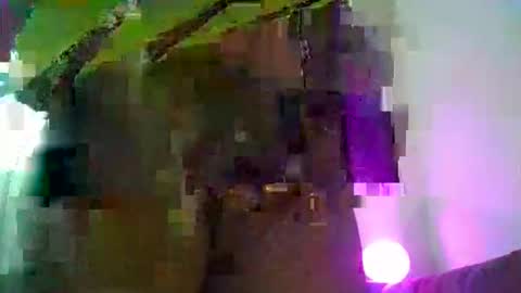 costybreed online show from 9, 2, 2026