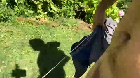 Countrydilf online show from 6, 1, 2025