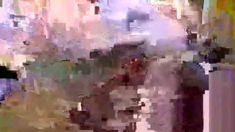 countrymommy online show from 13, 11, 2025