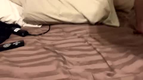 Countrystudd online show from 11, 12, 2024