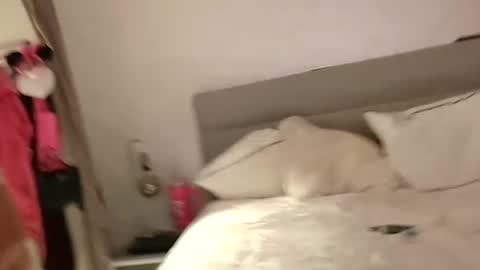 Snapshot of coupletoy97 chatting on 13, 2, 2025 Sandra and Tom online show from 13, 2, 2025