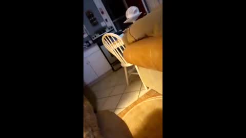 Snapshot of cowboy36278a chatting on 26, 2, 2026 cowboy36278a online show from 26, 2, 2026