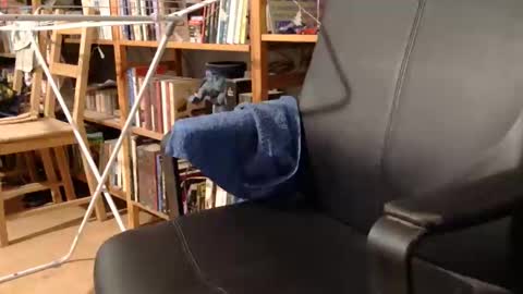 Snapshot of coyote017 chatting on 21, 3, 2026 coyote017 online show from 21, 3, 2026