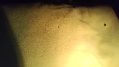 Snapshot of crave_me_ chatting on 29, 11, 2025 crave_me_ online show from 29, 11, 2025