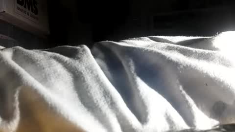 Snapshot of crave_me_ chatting on 30, 11, 2025 crave_me_ online show from 30, 11, 2025