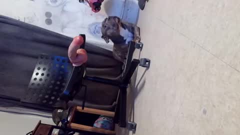 Snapshot of crazy4feetmanic chatting on 29, 10, 2025 drbucknaked online show from 29, 10, 2025