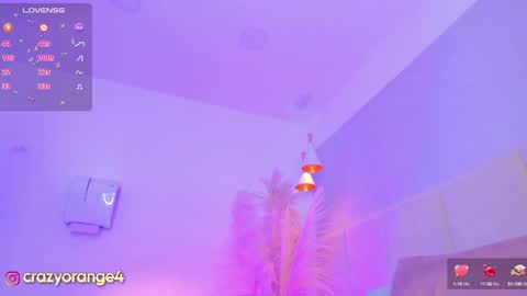 Snapshot of crazyorange4 chatting on 12, 1, 2025 You can ask online show from 12, 1, 2025